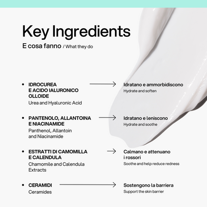 Crema Mani Skin First, ingredienti chiave