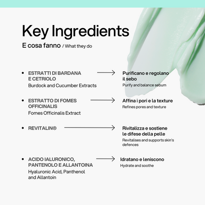 Crema Viso Purificante Skin First, ingredienti chiave