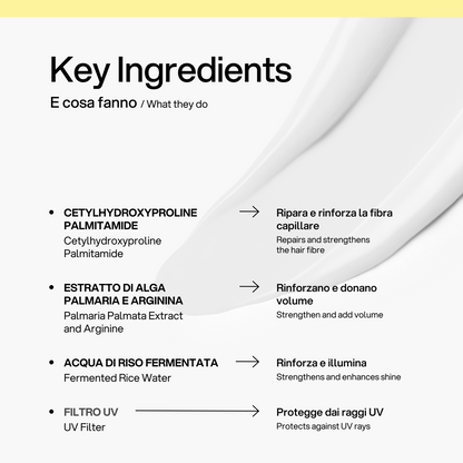 Hair Milk Multi-Benefit Leave-In Skin First, ingredienti chiave